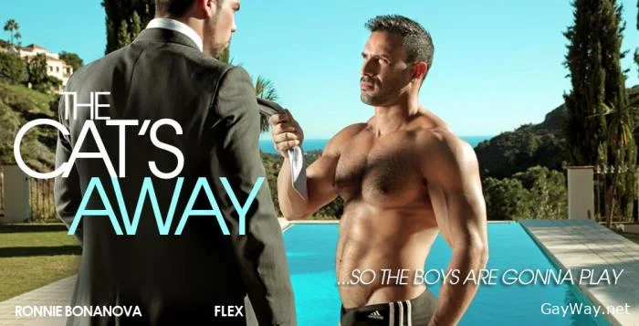 [GayWay.net] The Cat's Away [HD 720p] 449 MB