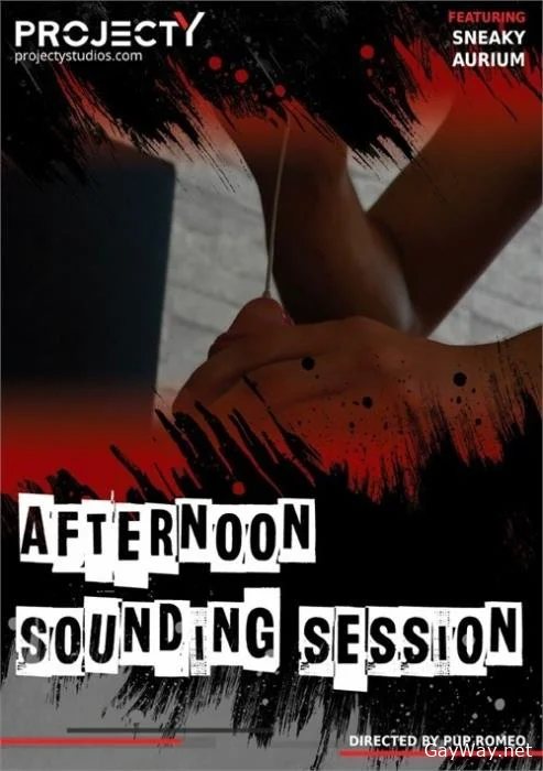 [GayWay.net] Afternoon Sounding Session [FullHD] 466,88 Mb