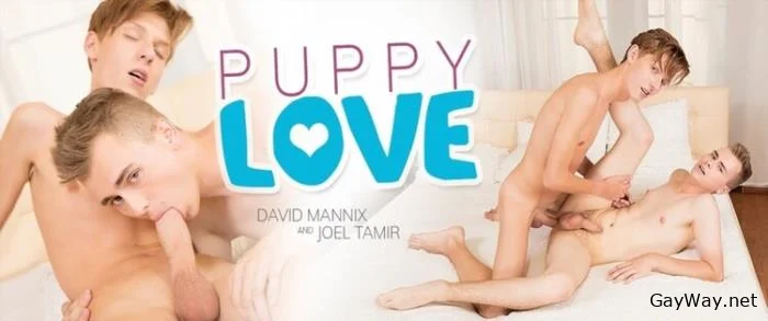 [GayWay.net] Puppy Love, Sc.1 Puppy Love Turns Into A Hard Teen Fuck For Joels Monster Dick [HD 720p] 794.5 MB