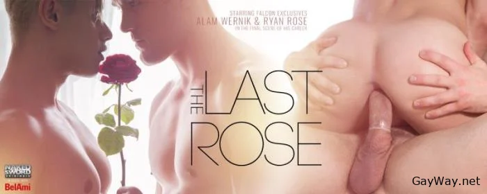 [GayWay.net] The Last Rose, Scene 4: The Rose Is Key [HD] 946,86 Mb