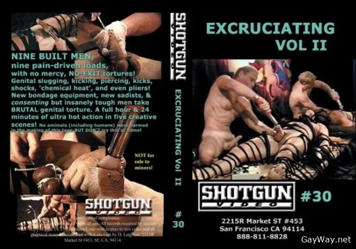 [GayWay.net] Excruciating, Vol II [DVDRip] 699 MB