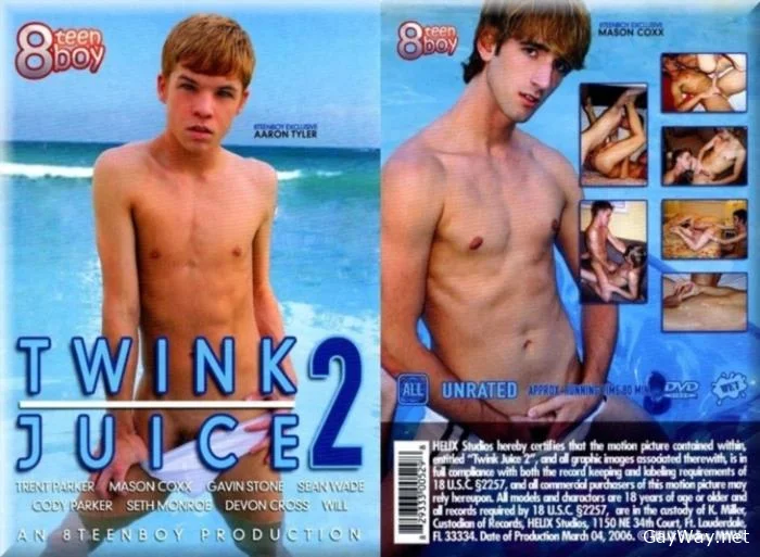 [GayWay.net] Twink Juice 2 [DVDRip] 877.3 MB