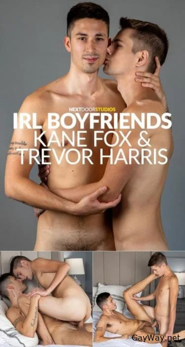 [GayWay.net] IRL Boyfriends [HD 720p] 914.4 MB