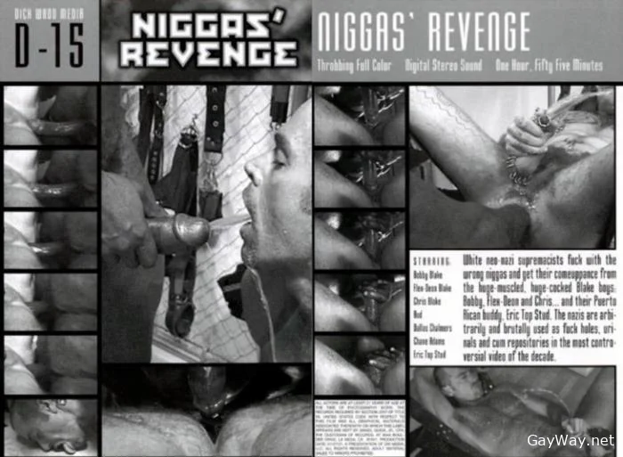 [GayWay.net] Nigga's Revenge [DVDRip] 1.1 GB