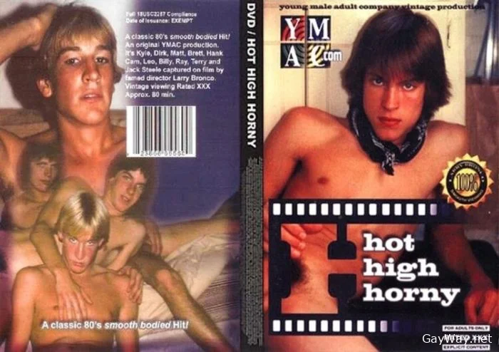 [GayWay.net] Hot, High And Horny [DVDRip] 300.1 MB