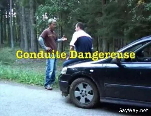 Conduite dangereuse [DVDRip] oral, hunks