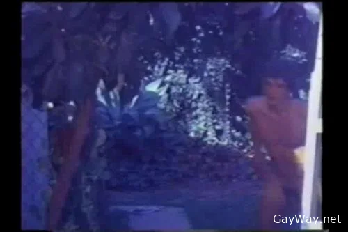 Heat Waves [DVDRip] Compilation, Vintage
