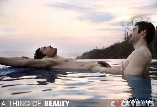 A Thing of Beauty Part One [HD 720p] Cumshots, Body Hair