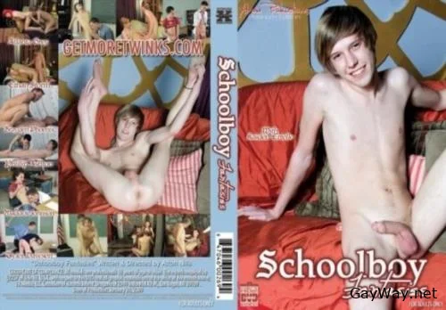 Schoolboy fantasies [DVDRip] Oral, Twink