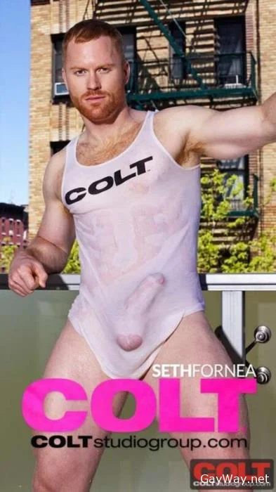 [GayWay.net] Seth Fornea [HD 720p] 672.5 MB