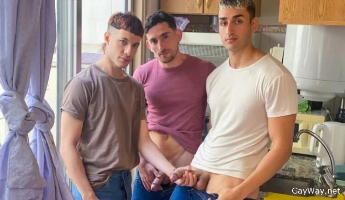[GayWay.net] The Passenger Can Cum Too - Numero 276 [FullHD 1080p] 2.63 GB