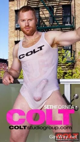 Seth Fornea [HD 720p] Handsome, Muscle