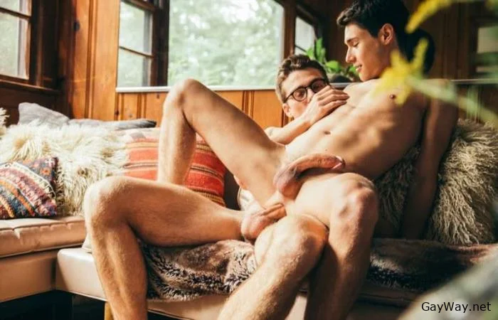 [GayWay.net] Blake Mitchell & Leo Grand [HD 720p] 706.8 MB