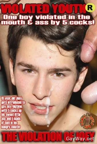 The Violation Of Joey [DVDRip] Twinks, Toys