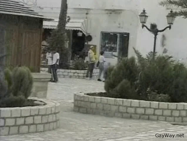 Arabian Pleasures [DVDRip]