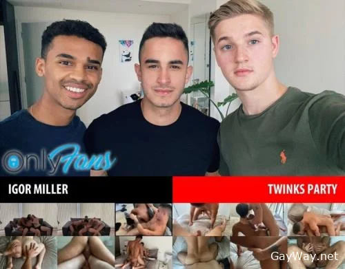 Twinks Party [HD 720p]