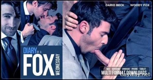 Diary of a Fox Wednesday [HD 720p]