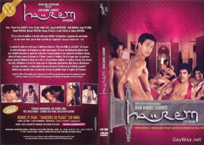 Harem Sex Bazaar [DVDRip]