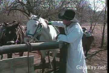 The Best of Playgirl Video [DVDRip]