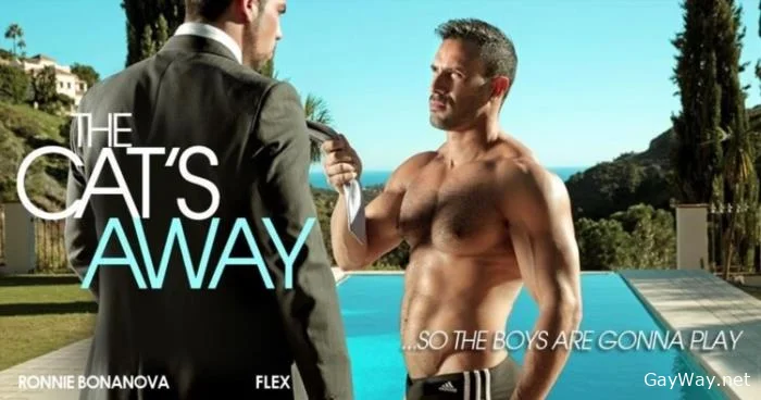 The Cat's Away [HD 720p]