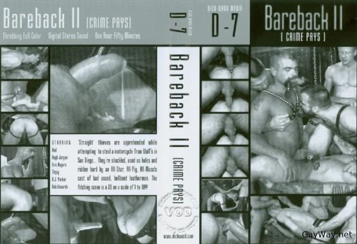 Bareback 2 Crimes Pays [DVDRip]