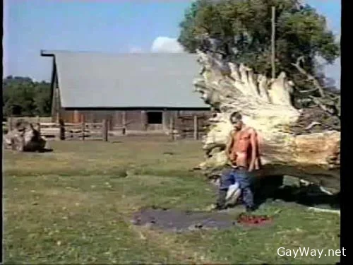 Roll in the Hay [DVDRip]