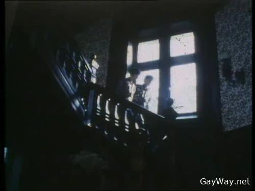 Les Minets Sauvages [DVDRip]