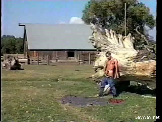 Roll in the Hay [DVDRip]