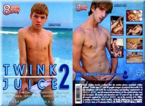 Twink Juice 2 [DVDRip]