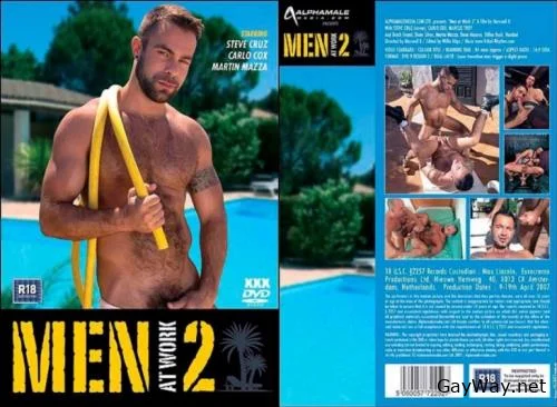 Men at Work 2 [DVDRip]