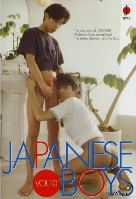 Japanese Boys Vol.10 [DVDRip]
