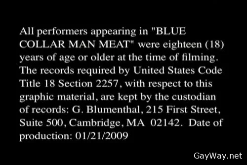 Blue Collar Man Meat [DVDRip]