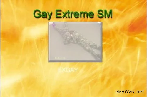 Gay Extreme SM [DVDRip]