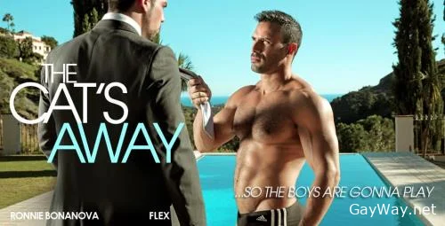 The Cat's Away [HD 720p]