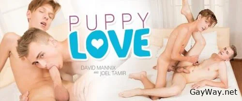 Puppy Love, Sc.1 Puppy Love Turns Into A Hard Teen Fuck For Joels Monster Dick [HD 720p]