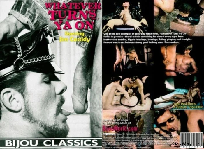 Whatever Turns Ya On [DVDRip]