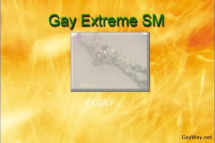 Gay Extreme SM [DVDRip]