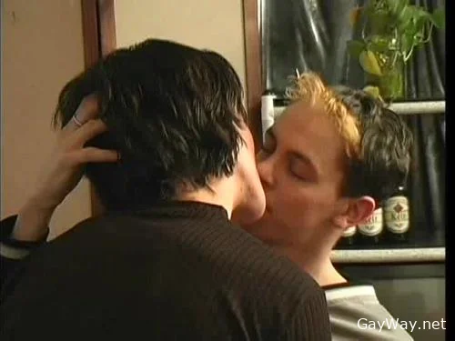 Wilde Schwaenze [DVDRip]