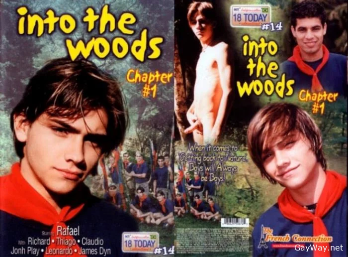 Into The Woods [DVDRip]