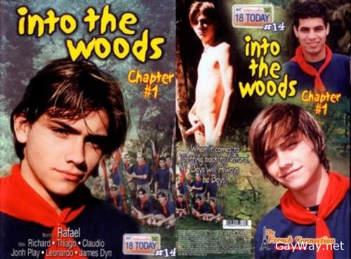 Into The Woods [DVDRip]
