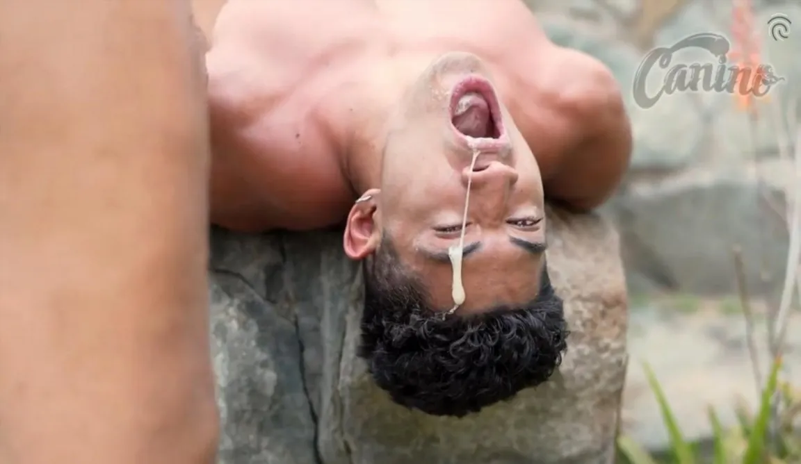 Five Studs Use One Insatiable Mouth Outdoors Bareback